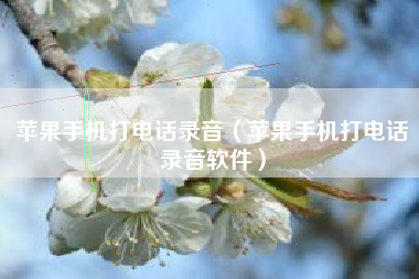 苹果手机打电话录音（苹果手机打电话录音软件）