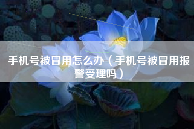 手机号被冒用怎么办（手机号被冒用报警受理吗）