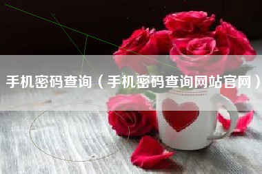 手机密码查询（手机密码查询网站官网）