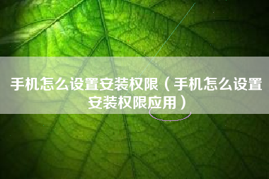 手机怎么设置安装权限（手机怎么设置安装权限应用）