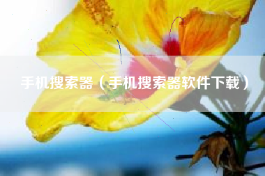 手机搜索器（手机搜索器软件下载）