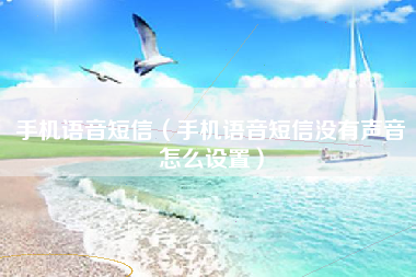 手机语音短信（手机语音短信没有声音怎么设置）