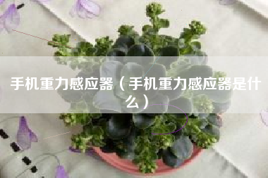 手机重力感应器（手机重力感应器是什么）