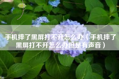 手机摔了黑屏打不开怎么办（手机摔了黑屏打不开怎么办但是有声音）
