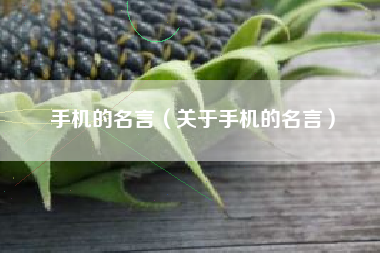 手机的名言（关于手机的名言）