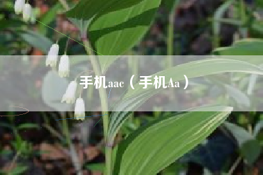 手机aac（手机Aa）