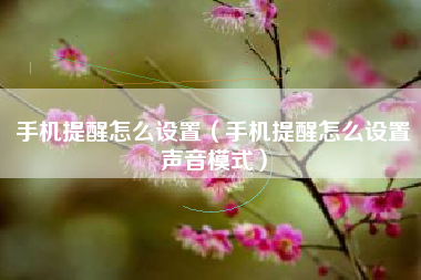 手机提醒怎么设置（手机提醒怎么设置声音模式）