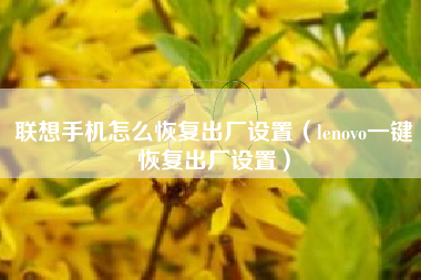 联想手机怎么恢复出厂设置（lenovo一键恢复出厂设置）