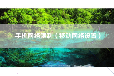 手机网络限制（移动网络设置）