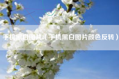 手机黑白图片（手机黑白图片颜色反转）