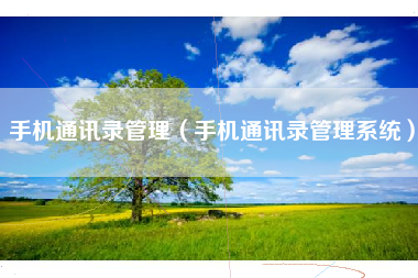 手机通讯录管理（手机通讯录管理系统）