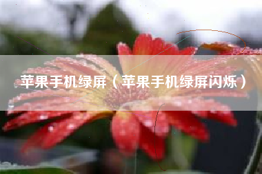 苹果手机绿屏（苹果手机绿屏闪烁）