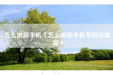 怎么追踪手机（怎么追踪手机号码位置呢）