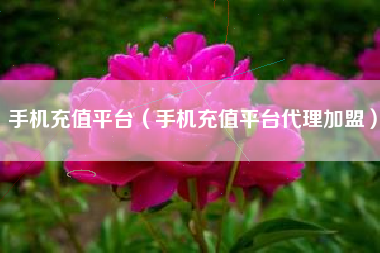 手机充值平台（手机充值平台代理加盟）