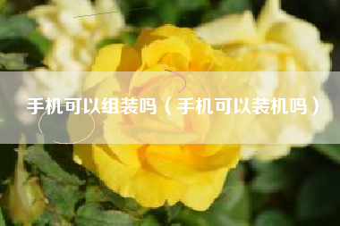 手机可以组装吗（手机可以装机吗）