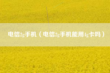电信2g手机（电信2g手机能用4g卡吗）