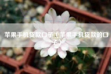 苹果手机贷款口子（苹果手机贷款的口子）