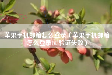 苹果手机邮箱怎么登录（苹果手机邮箱怎么登录163验证失败）
