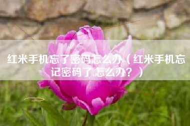红米手机忘了密码怎么办（红米手机忘记密码了,怎么办？）