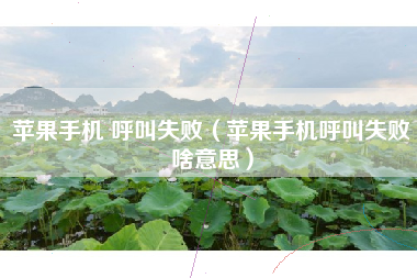 苹果手机 呼叫失败（苹果手机呼叫失败啥意思）