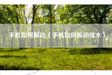 手机如何振动（手机如何振动排水）