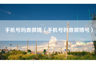 手机号码查微博（手机号码查微博号）