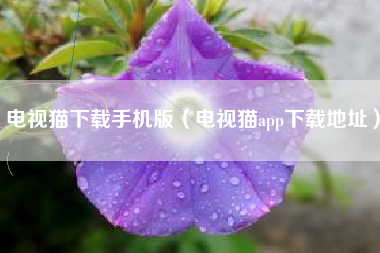 电视猫下载手机版（电视猫app下载地址）