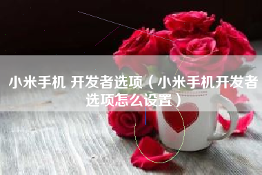小米手机 开发者选项（小米手机开发者选项怎么设置）