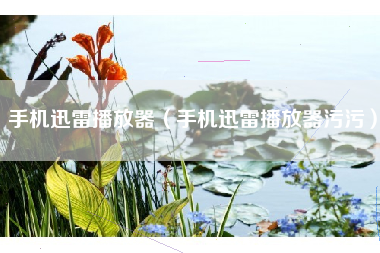 手机迅雷播放器（手机迅雷播放器污污）