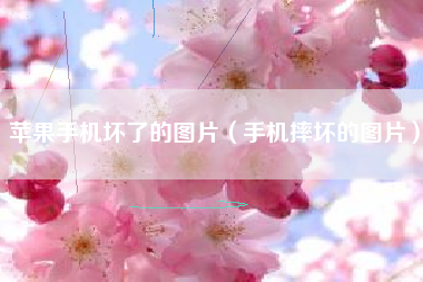 苹果手机坏了的图片（手机摔坏的图片）
