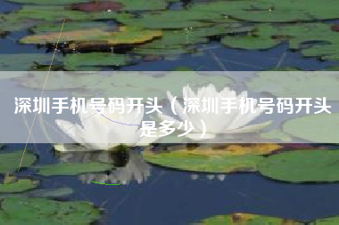 深圳手机号码开头（深圳手机号码开头是多少）