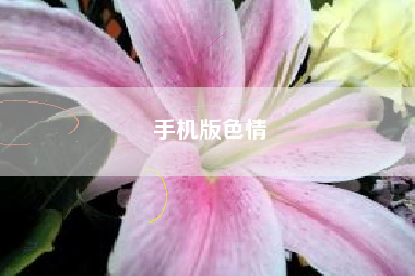 手机版色情