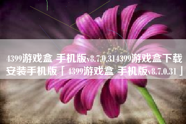 4399游戏盒 手机版v8.7.0.314399游戏盒下载安装手机版「4399游戏盒 手机版v8.7.0.31」