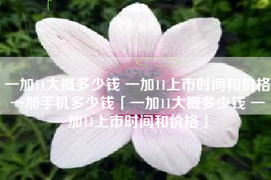 一加11大概多少钱 一加11上市时间和价格一加手机多少钱「一加11大概多少钱 一加11上市时间和价格」