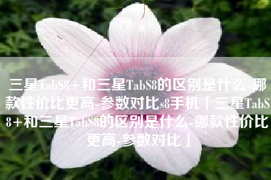 三星TabS8+和三星TabS8的区别是什么-哪款性价比更高-参数对比s8手机「三星TabS8+和三星TabS8的区别是什么-哪款性价比更高-参数对比」
