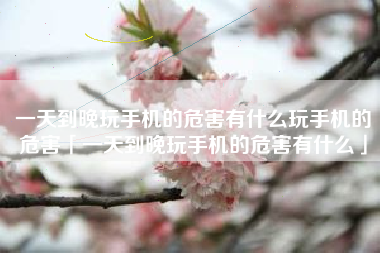 一天到晚玩手机的危害有什么玩手机的危害「一天到晚玩手机的危害有什么」