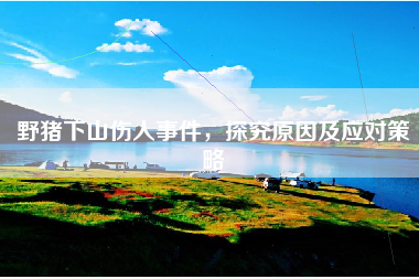 野猪下山伤人事件，探究原因及应对策略