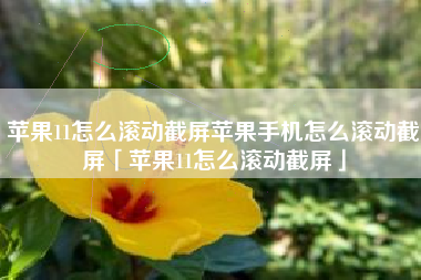苹果11怎么滚动截屏苹果手机怎么滚动截屏「苹果11怎么滚动截屏」