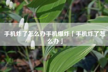 手机炸了怎么办手机爆炸「手机炸了怎么办」