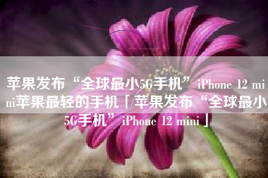 苹果发布“全球最小5G手机”iPhone 12 mini苹果最轻的手机「苹果发布“全球最小5G手机”iPhone 12 mini」