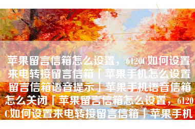 苹果留言信箱怎么设置，6120C如何设置来电转接留言信箱「苹果手机怎么设置留言信箱语音提示」苹果手机语音信箱怎么关闭「苹果留言信箱怎么设置，6120C如何设置来电转接留言信箱「苹果手机怎么设置留言信箱语音提示」」