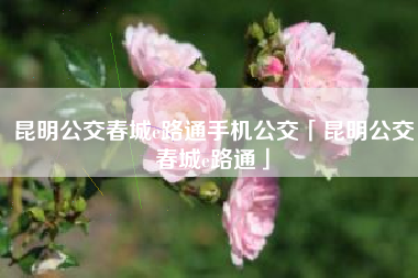 昆明公交春城e路通手机公交「昆明公交春城e路通」
