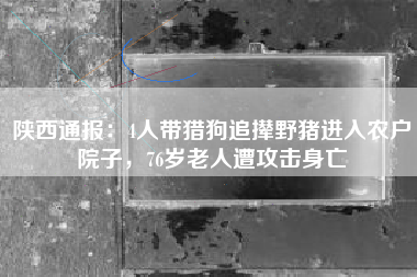 陕西通报：4人带猎狗追撵野猪进入农户院子，76岁老人遭攻击身亡
