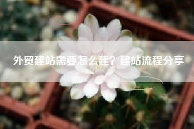 外贸建站需要怎么建？建站流程分享