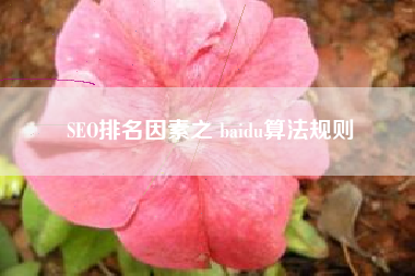 SEO排名因素之 baidu算法规则