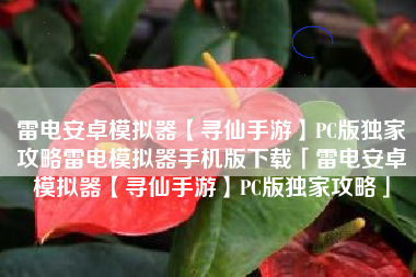 雷电安卓模拟器【寻仙手游】PC版独家攻略雷电模拟器手机版下载「雷电安卓模拟器【寻仙手游】PC版独家攻略」
