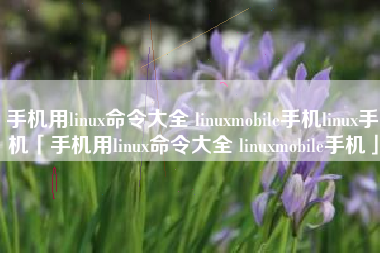 手机用linux命令大全 linuxmobile手机linux手机「手机用linux命令大全 linuxmobile手机」