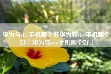 华为与vivo手机哪个好华为和vivo手机哪个好「华为与vivo手机哪个好」