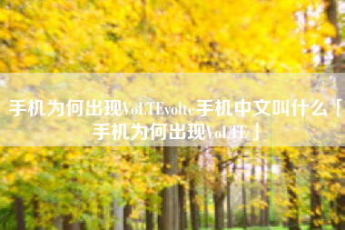 手机为何出现VoLTEvolte手机中文叫什么「手机为何出现VoLTE」