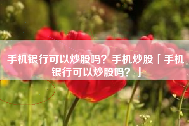 手机银行可以炒股吗？手机炒股「手机银行可以炒股吗？」